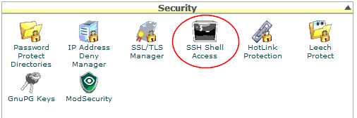 Cpanel ssh shell access