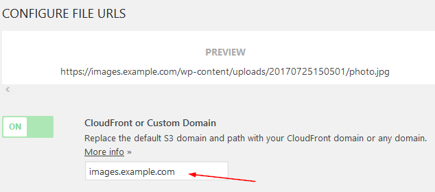 Add custom domain for S3 lite plugin
